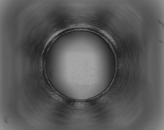 X0000091851364200709191048