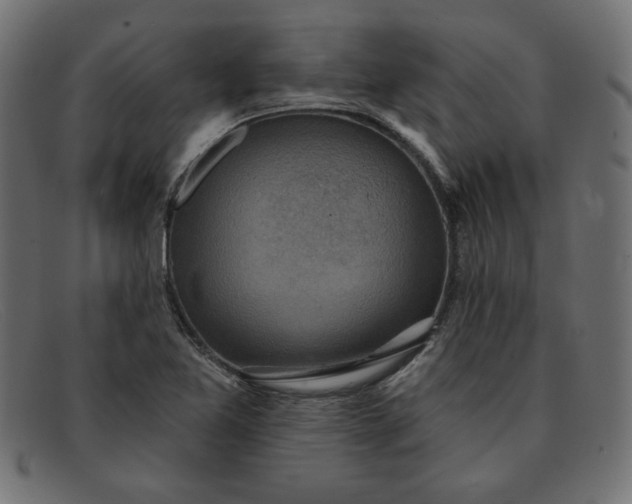 X0000091851365200709191048