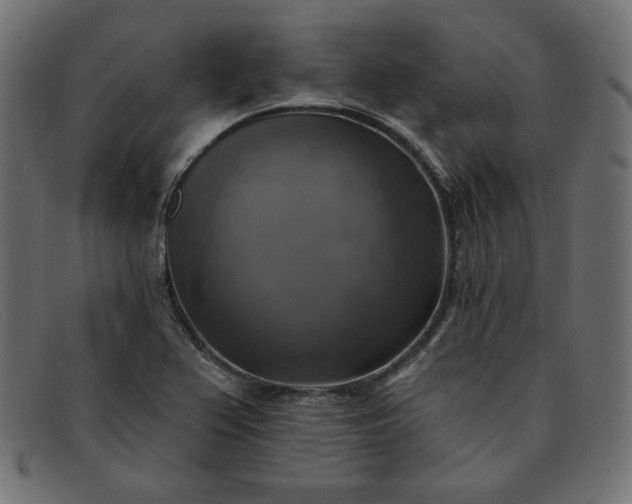 X0000091851367200709191047