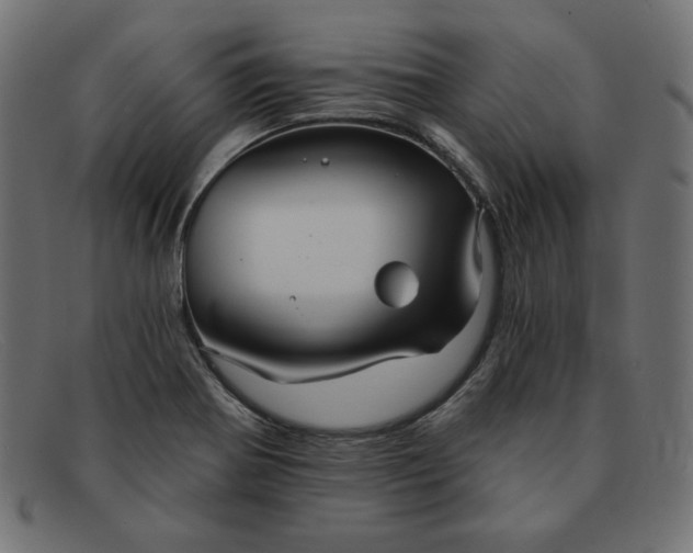 X0000091851370200709191047