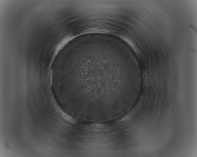 X0000091851371200709191047