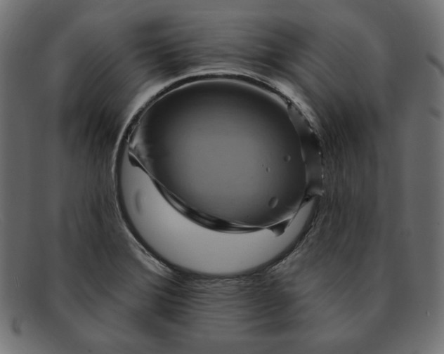 X0000091851372200709191047
