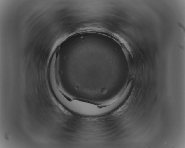 X0000091851373200709191047