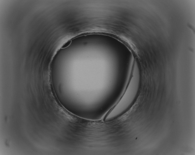 X0000091851374200709191047