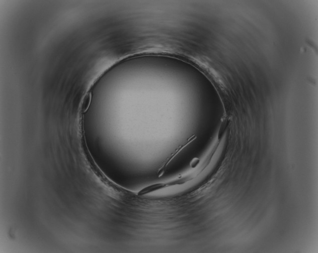 X0000091851375200709191047