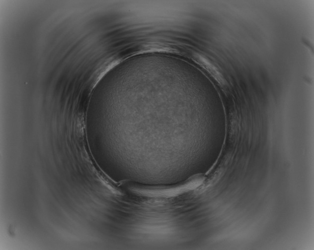 X0000091851377200709191047
