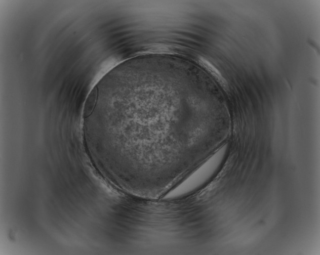 X0000091851378200709191047