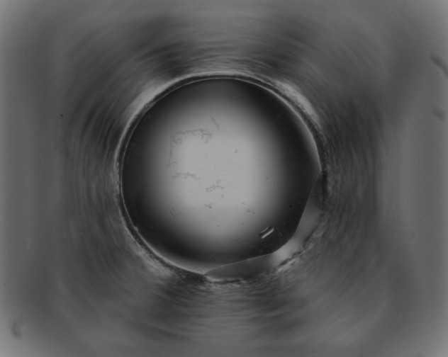 X0000091851380200709191047