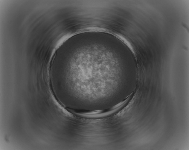X0000091851381200709191047