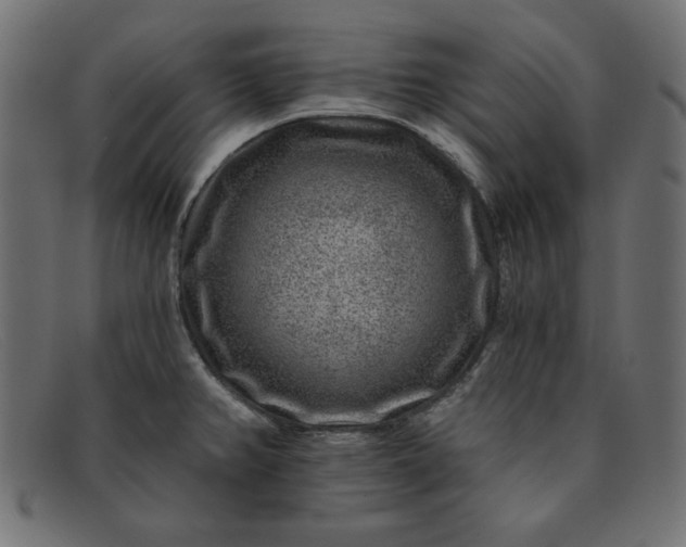 X0000091851382200709191047