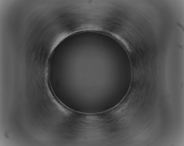 X0000091851383200709191047