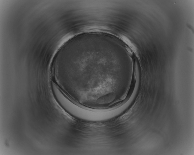 X0000091851384200709191047