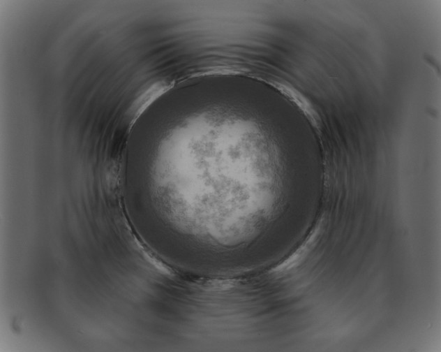 X0000091851385200709191047