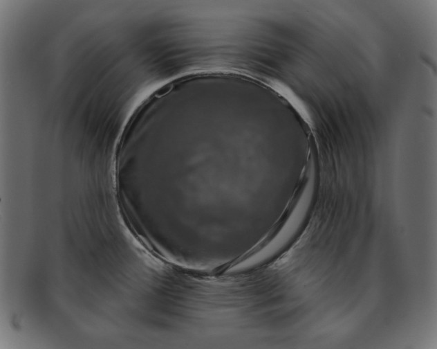X0000091851388200709191047