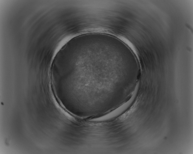 X0000091851389200709191047