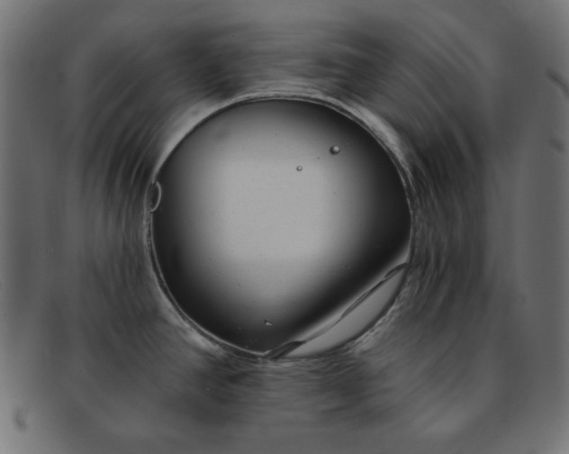 X0000091851390200709191047