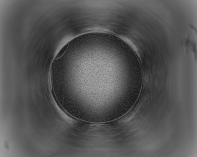 X0000091851391200709191047