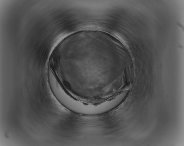 X0000091851392200709191047