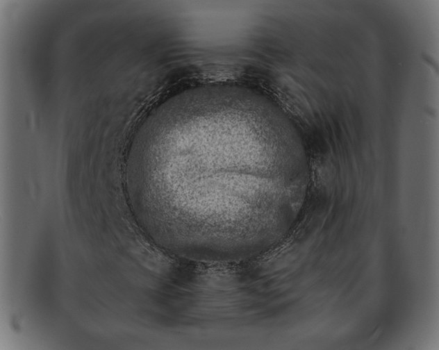 X0000091851393200709191046