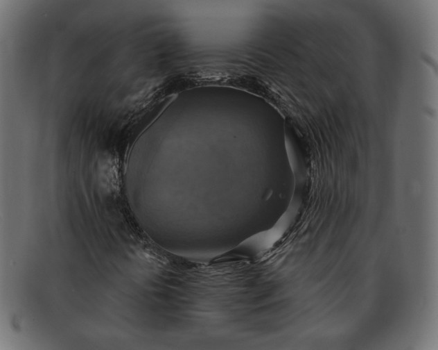 X0000091851394200709191046