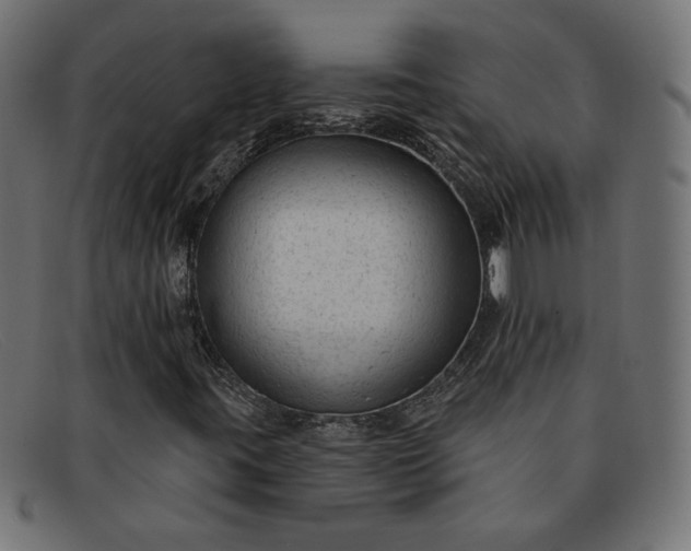 X0000091851395200709191046