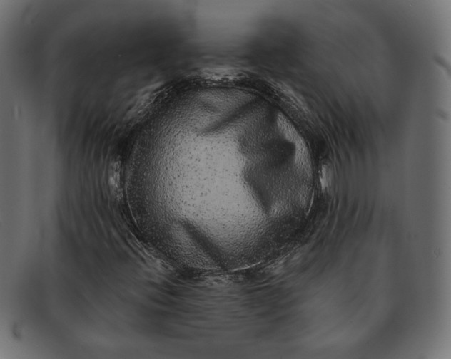 X0000091851396200709191046