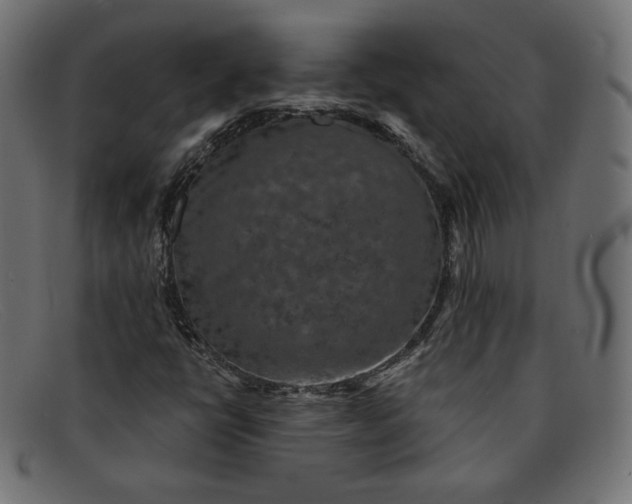 X0000091851398200709191047