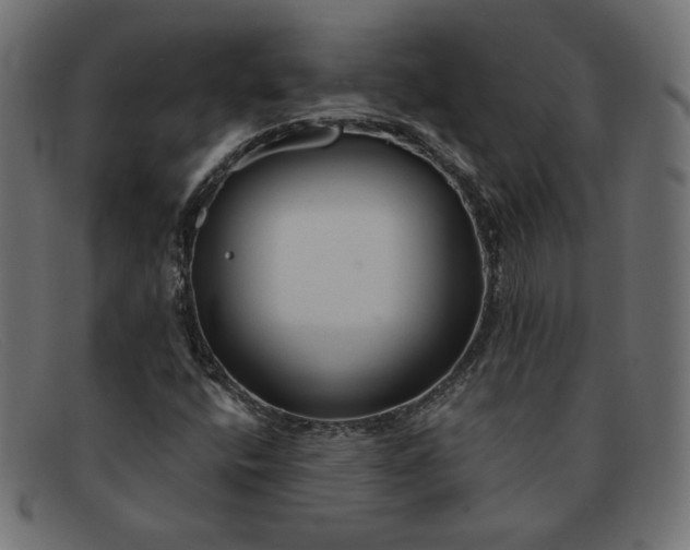 X0000091851400200709191047
