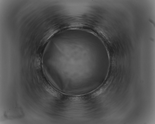 X0000091851401200709191047
