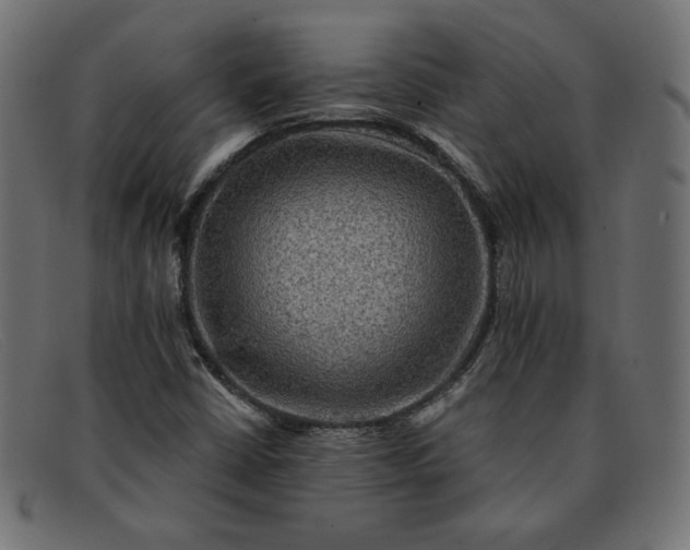 X0000091851402200709191047