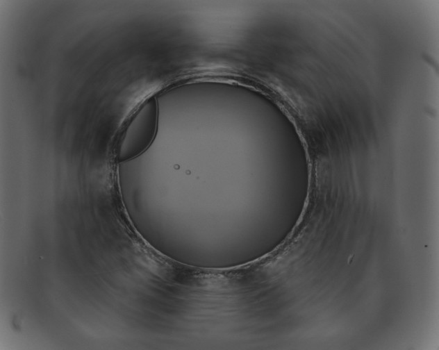 X0000091851405200709191047