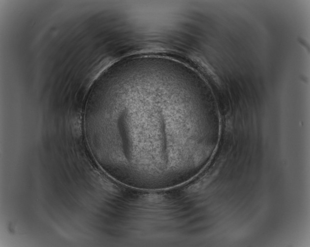 X0000091851409200709191047