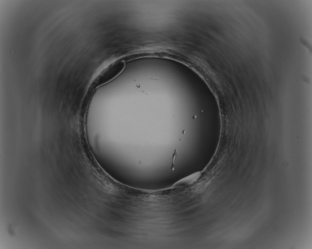 X0000091851412200709191047