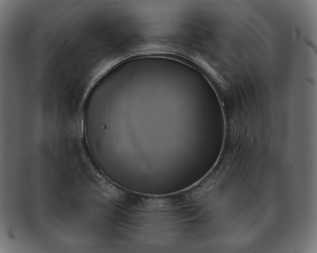 X0000091851413200709191047