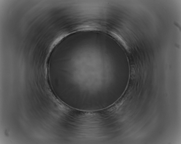 X0000091851419200709191047