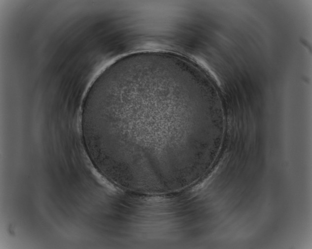 X0000091851421200709191047