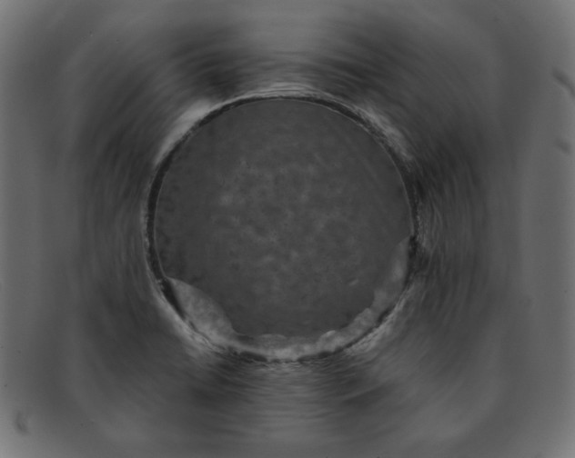 X0000091851422200709191047