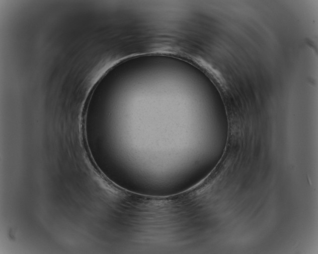 X0000091851423200709191047