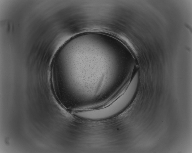 X0000091851424200709191047