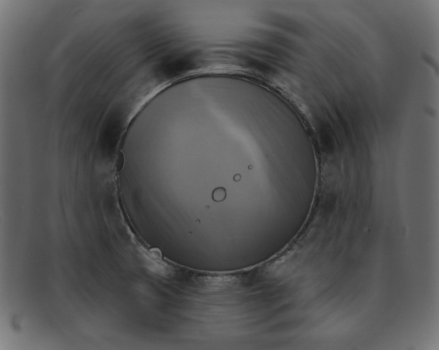 X0000091851425200709191047