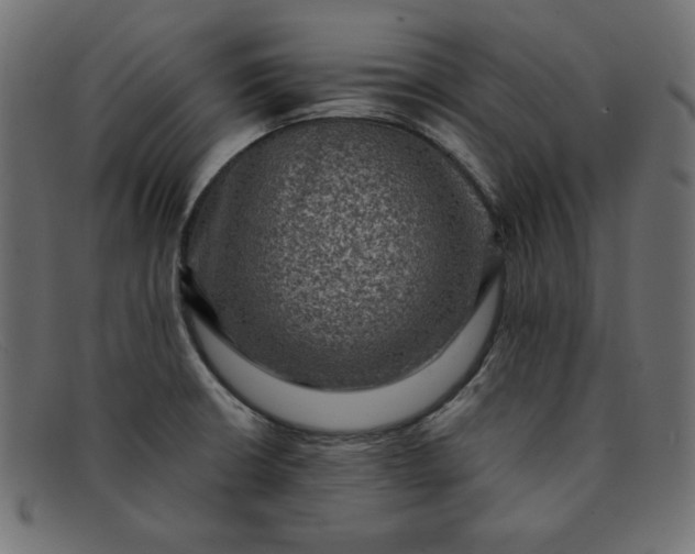 X0000091851426200709191047