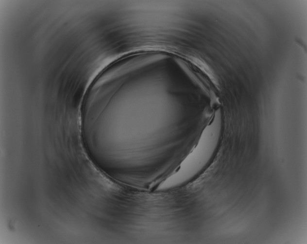 X0000091851428200709191047