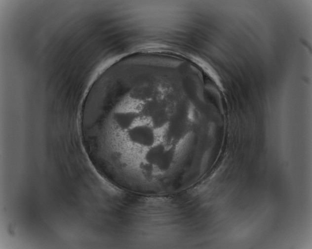 X0000091851429200709191047