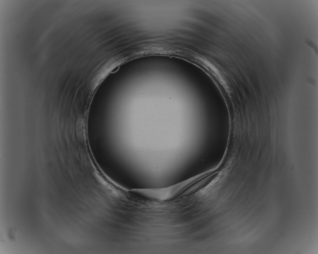 X0000091851433200709191047