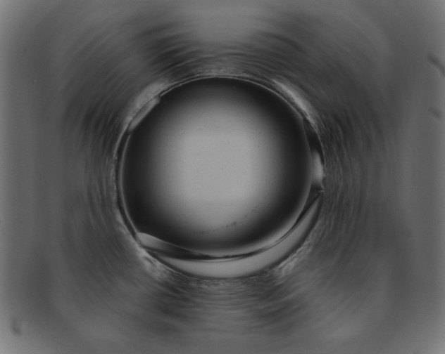 X0000091851434200709191047