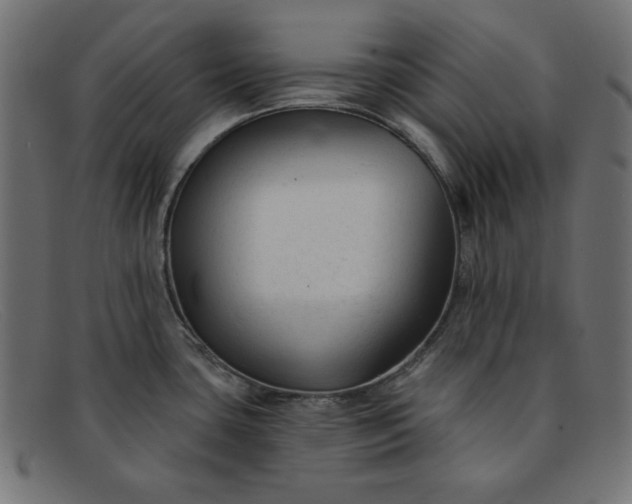 X0000091851435200709191047