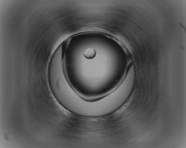 X0000091851438200709191047