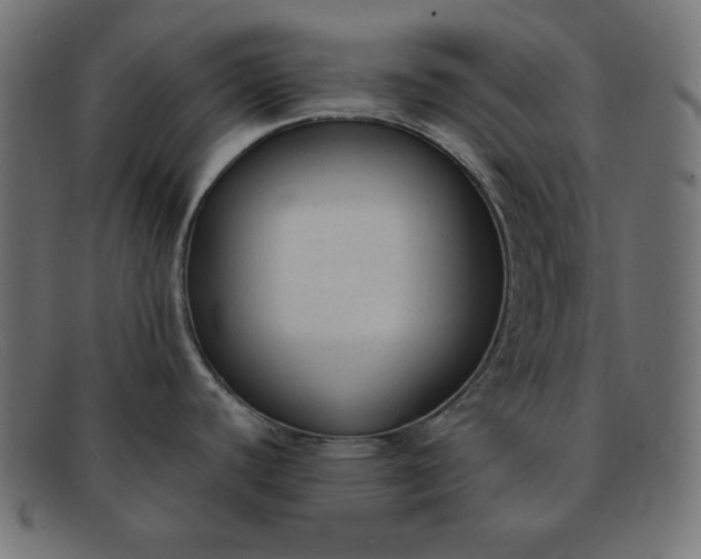 X0000091851440200709191047