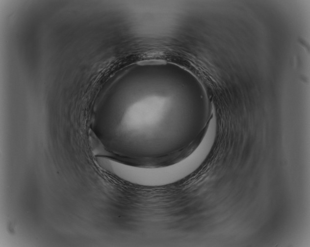 X0000091851441200709191046