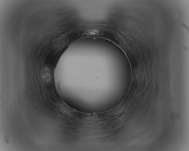 X0000091851442200709191046